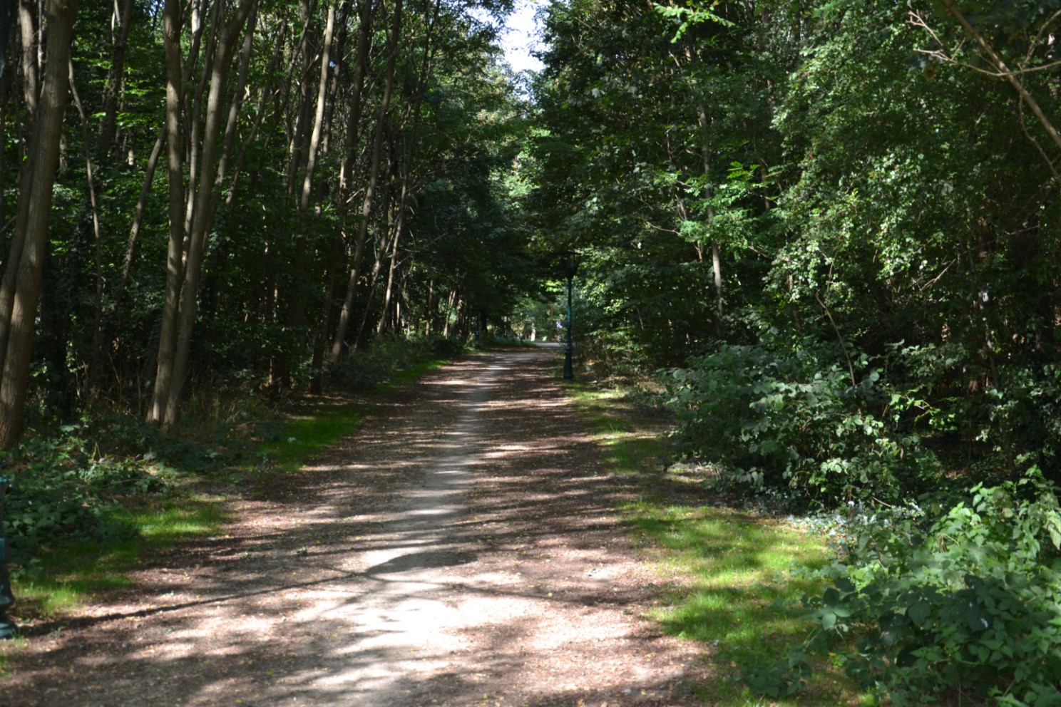 Bois des Eboulures de Franconville