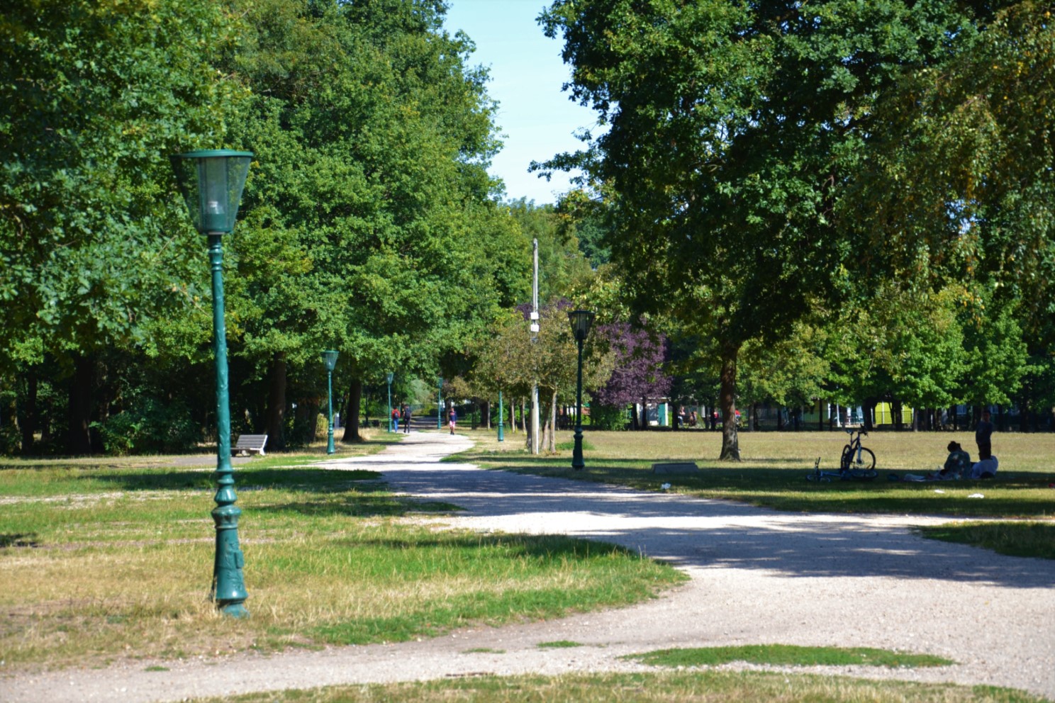 Bois des Eboulures à Franconville