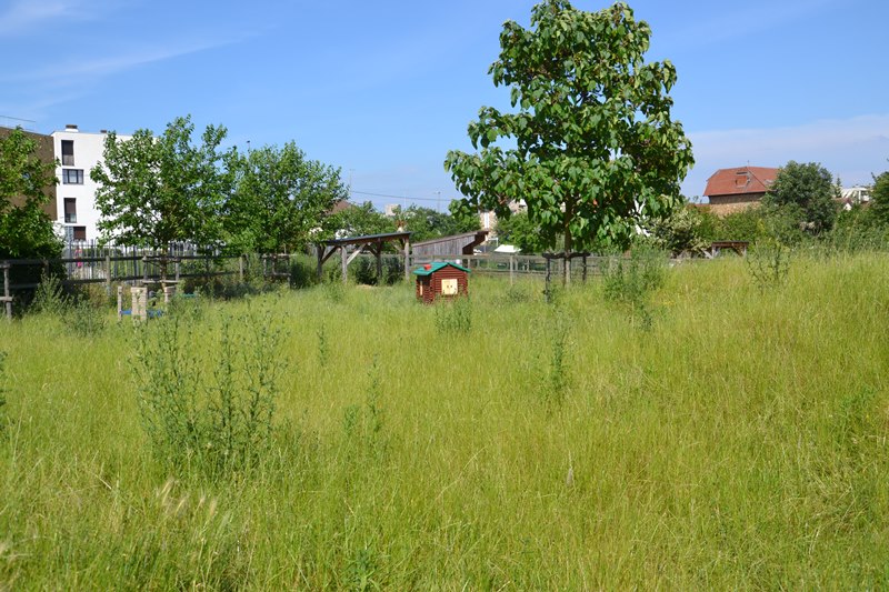 Ferme pédagogique Ermont - 2024