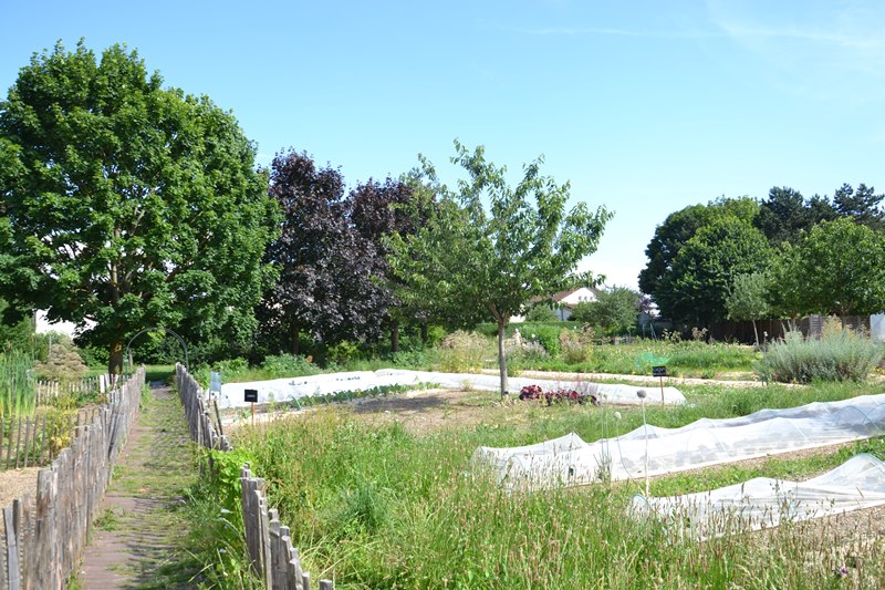 Ferme pédagogique Ermont - 2024