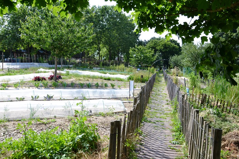 Ferme pédagogique Ermont - 2024