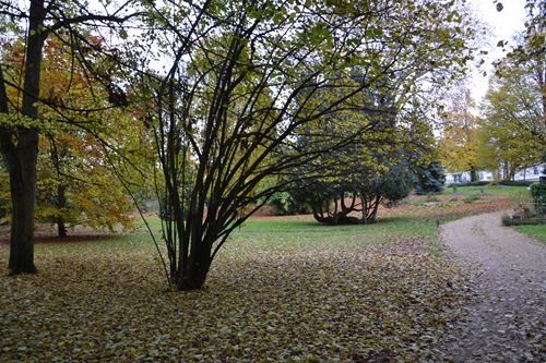 Parc René Bailly à Soisy