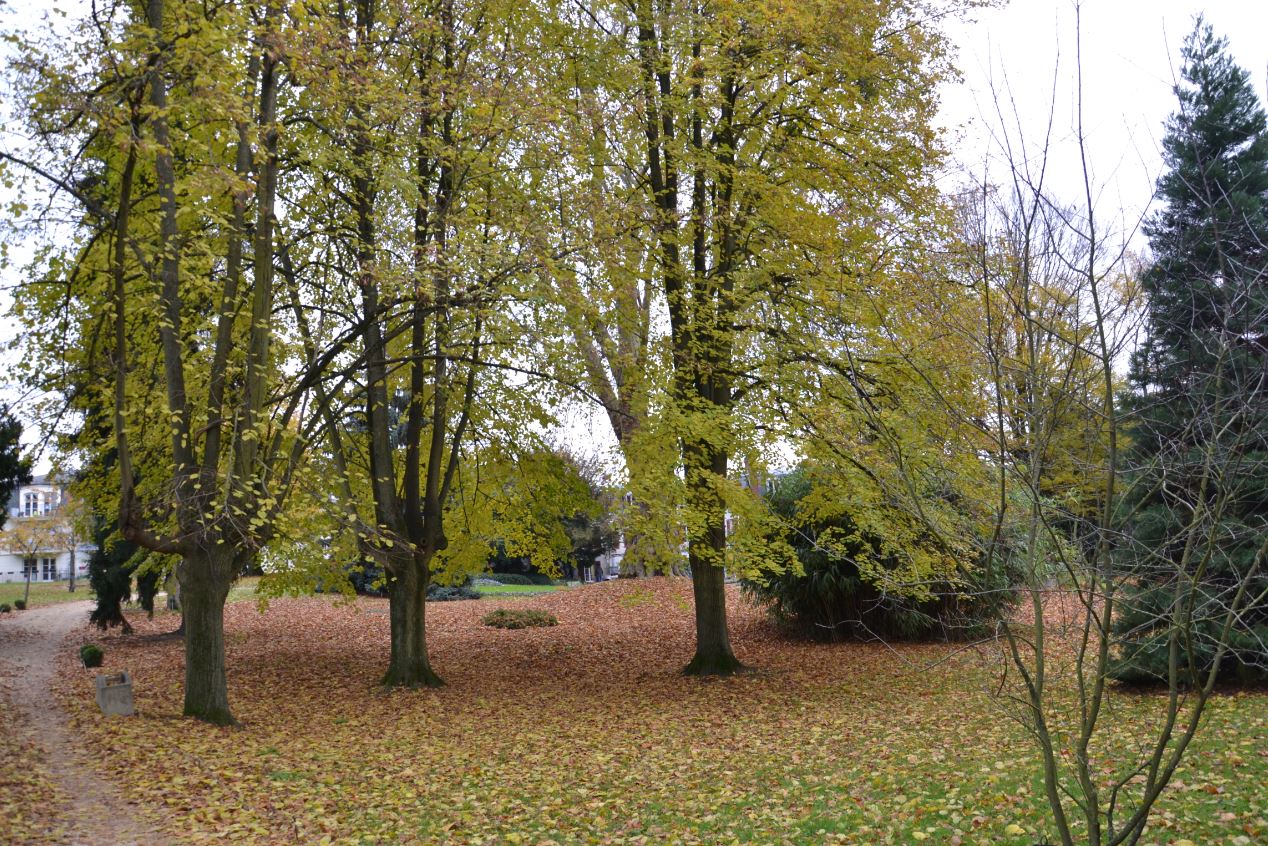 Parc René Bailly à Soisy-sous-Montmorency
