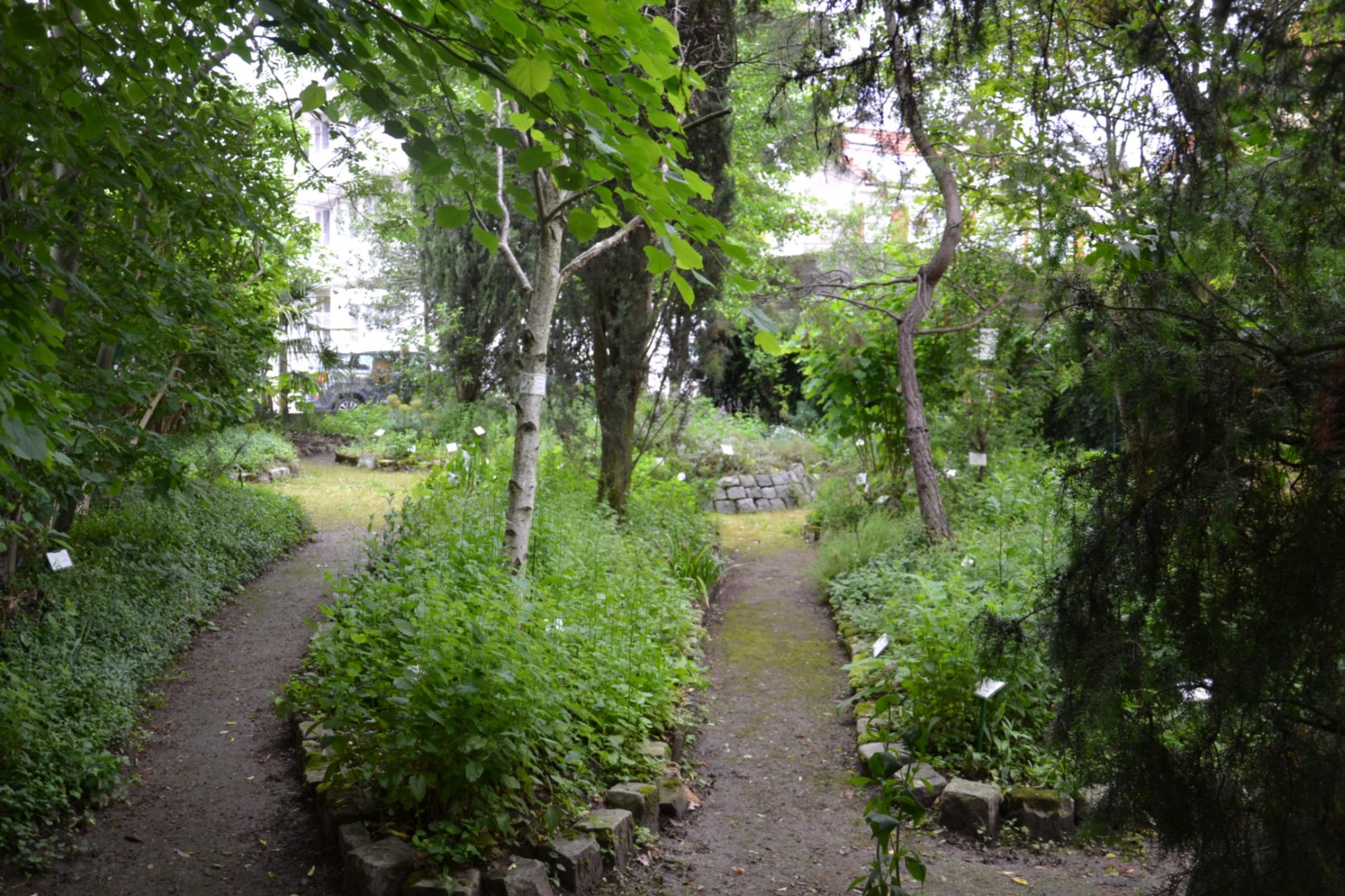 jardin botanique de Sannois