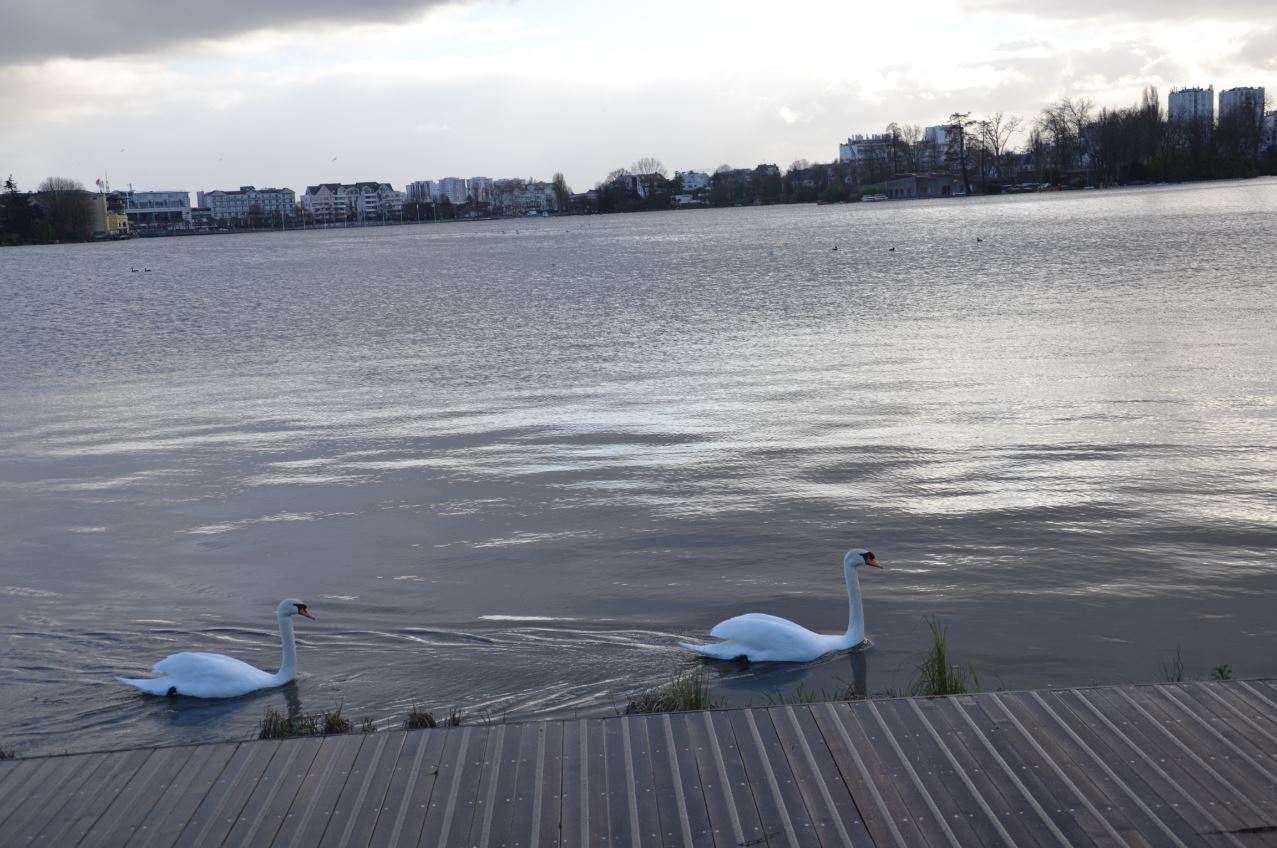 Lac d'Enghien vers la Jetée Eric Tabarly