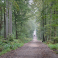 Sortie sur le Chemin du philosophe dans la Forêt de Montmorency!