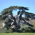 IDÉE-BALADE : de la gare de Vaucelles jusqu'à celle de Taverny en passant par le parc du Château de la Tuyolle !