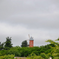 IDÉE-BALADE : la butte d'Orgemont et son célèbre moulin !