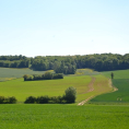 IDÉE-BALADE : traversée dans les terres céréalières autour de Frépillon !