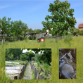 Les espaces potager et animalier de la ferme pédagogique d'Ermont toujours accessibles à tous !