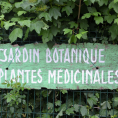 Rendez-vous aux jardins : découvrez le jardin botanique de Sannois ou le jardin de Monique à Eaubonne !