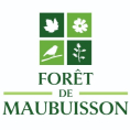La For&ecirc;t de Maubuisson, un grand projet forestier aux portes de la Vall&eacute;e de Montmorency&nbsp;!