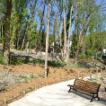 IDÉE-BALADE : le parc Edith Wharton au cœur des sentes de Taverny !