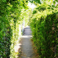 IDEE-BALADE : les sentes de Saint-Leu-la-Forêt pour se faufiler entre maisons et jardins et retrouver le passé rural…