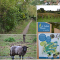 IDÉE-BALADE : découverte du Sentier Nature de Saint-Prix !