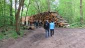 Sorties nature dans la Forêt de Montmorency proposées par l'ONF.