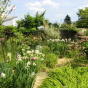 Rendez-vous aux jardins : le jardin de Monique Petit