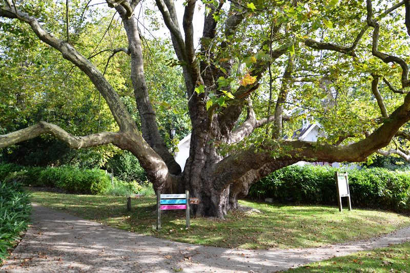Parc du château de la Tuyolle - Hôpital Le Parc à Taverny