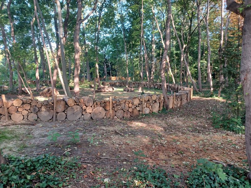 Parc du Château de Dino - Montmorency
