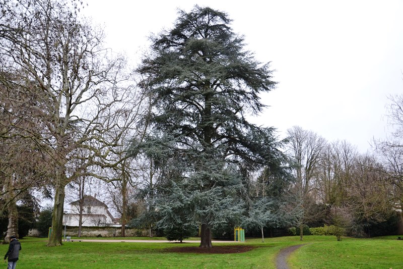 Parc de la Tuilerie à Margency