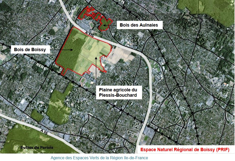 Bois des Aulnaies et Bois de Boissy (Document AEV)