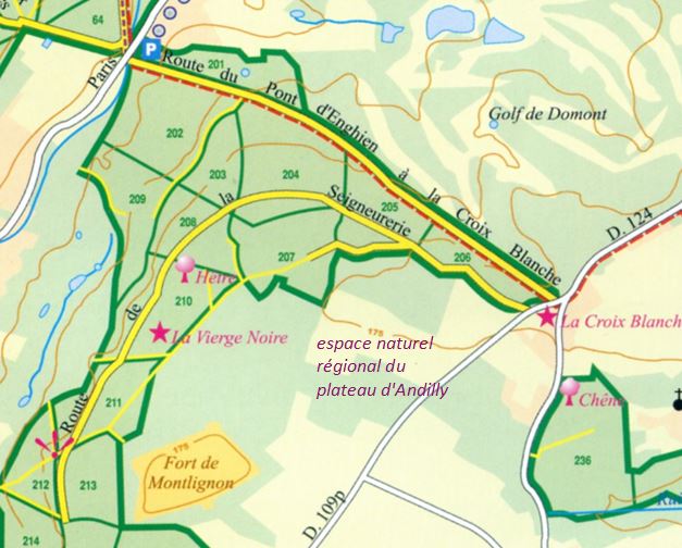 Détail de plan de la Forêt de Montmorency