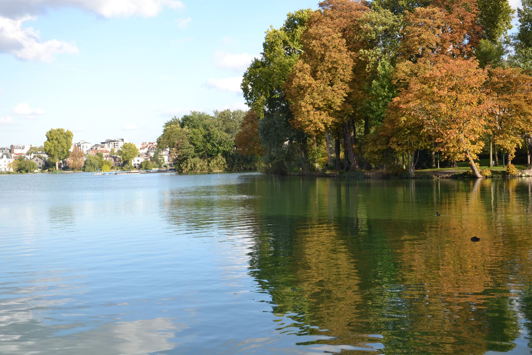 Presqu'île aux fleurs d'Enghien