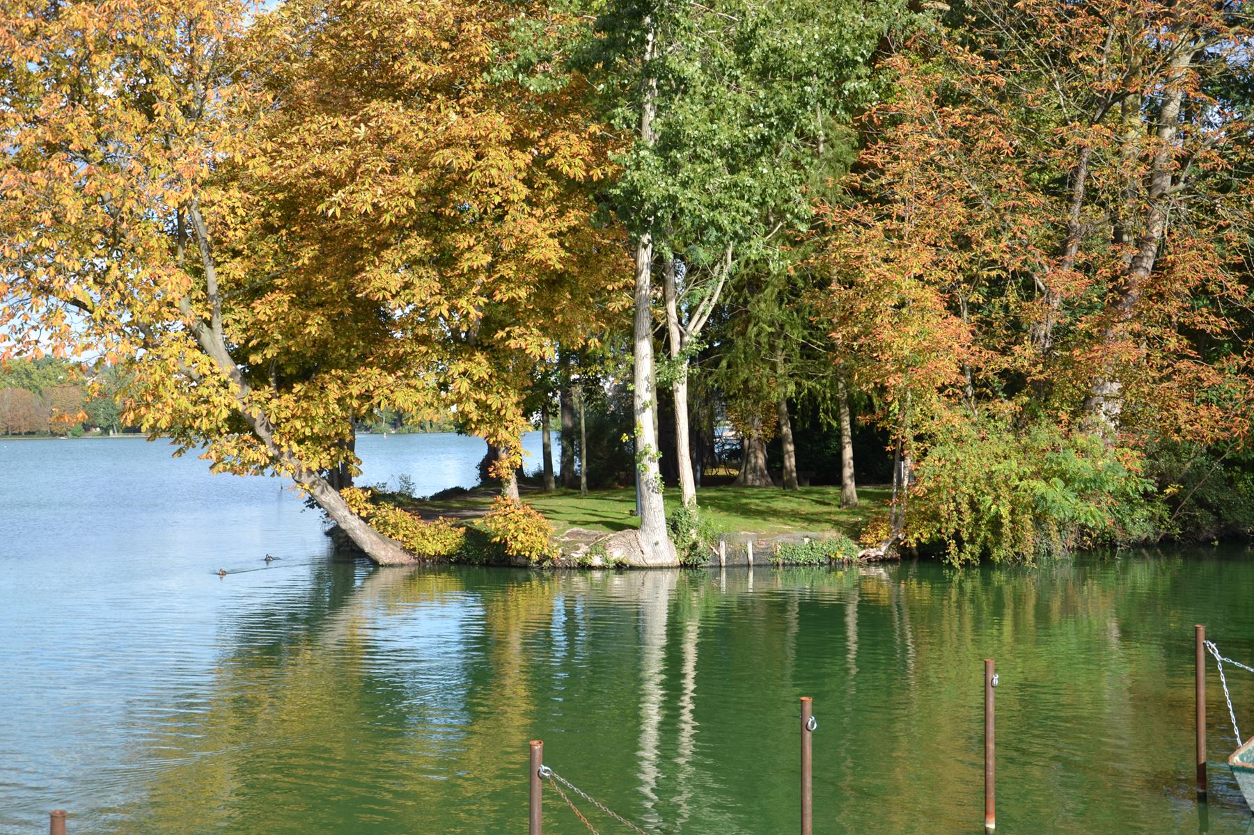 Presqu'île aux fleurs d'Enghien