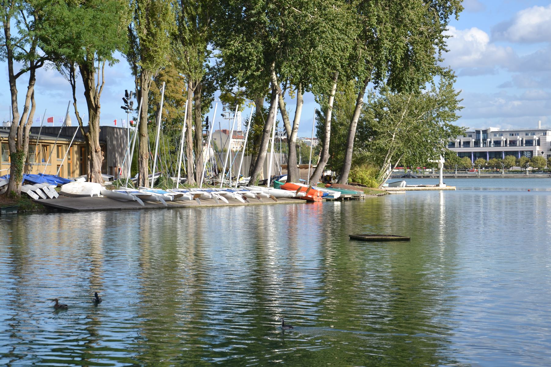 Presqu'île aux fleurs d'Enghien