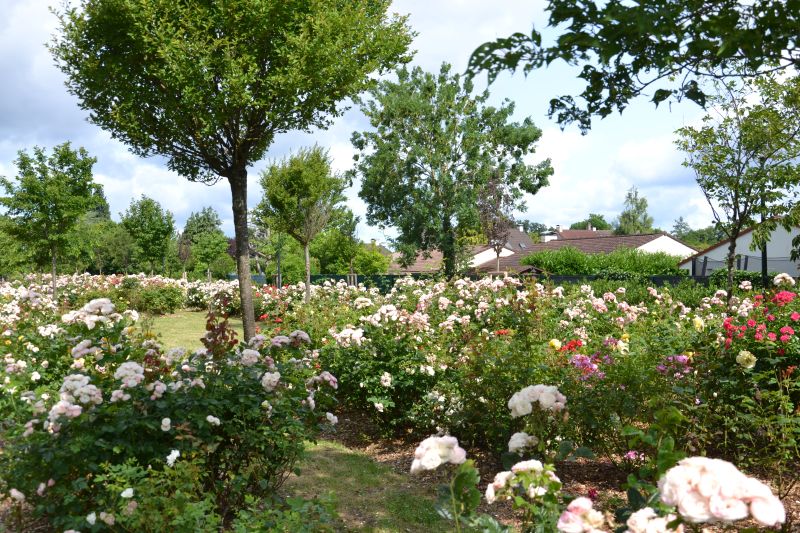 Roseraie promenade des impressionnistes - Montigny