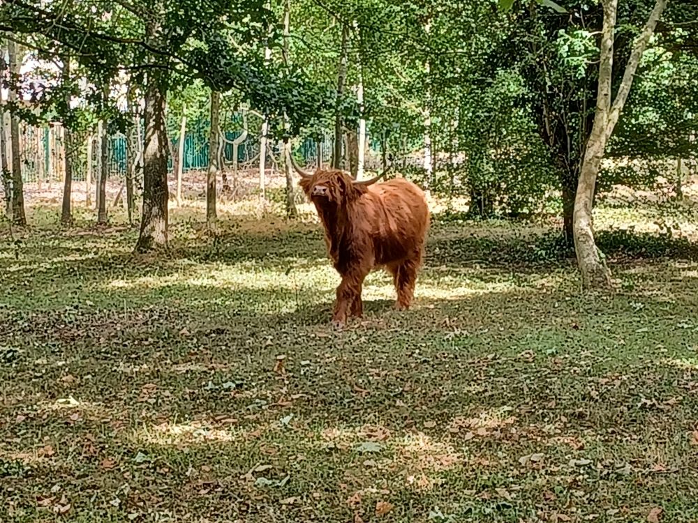 Ferme pédagogique Montigny-lès-Cormeilles