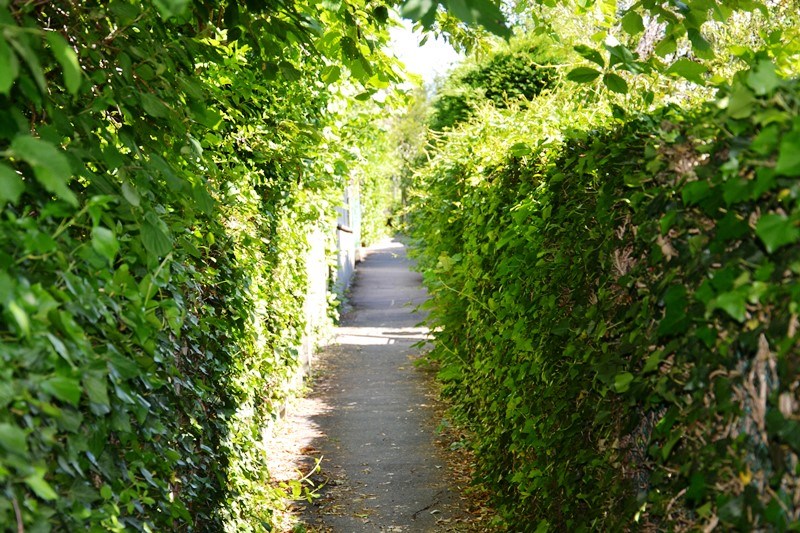 Sente de Saint-Leu-la-Forêt