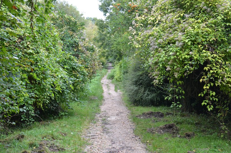 Sentier Nature de Saint-Prix