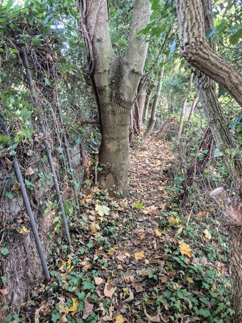 Sentier de la Porte Rouge (crédit asso Sentier de la Côte de Deuil)