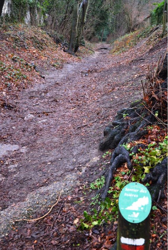 Sentier des lisières de la forêt de Montmorency