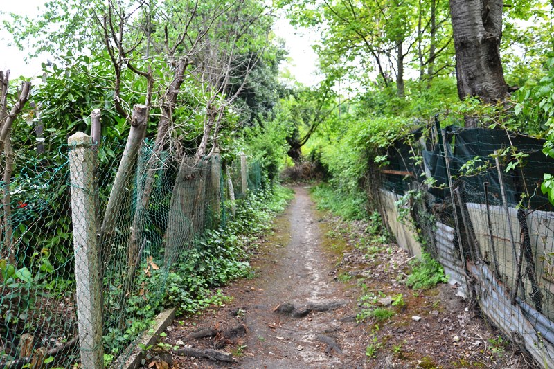 Sentier de la Côte de Deuil
