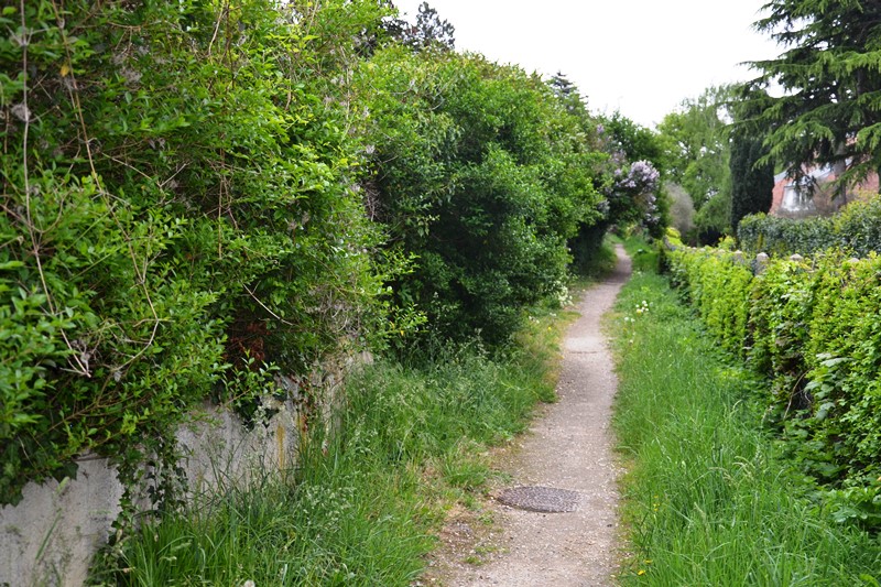 Sentier de la Côte de Deuil
