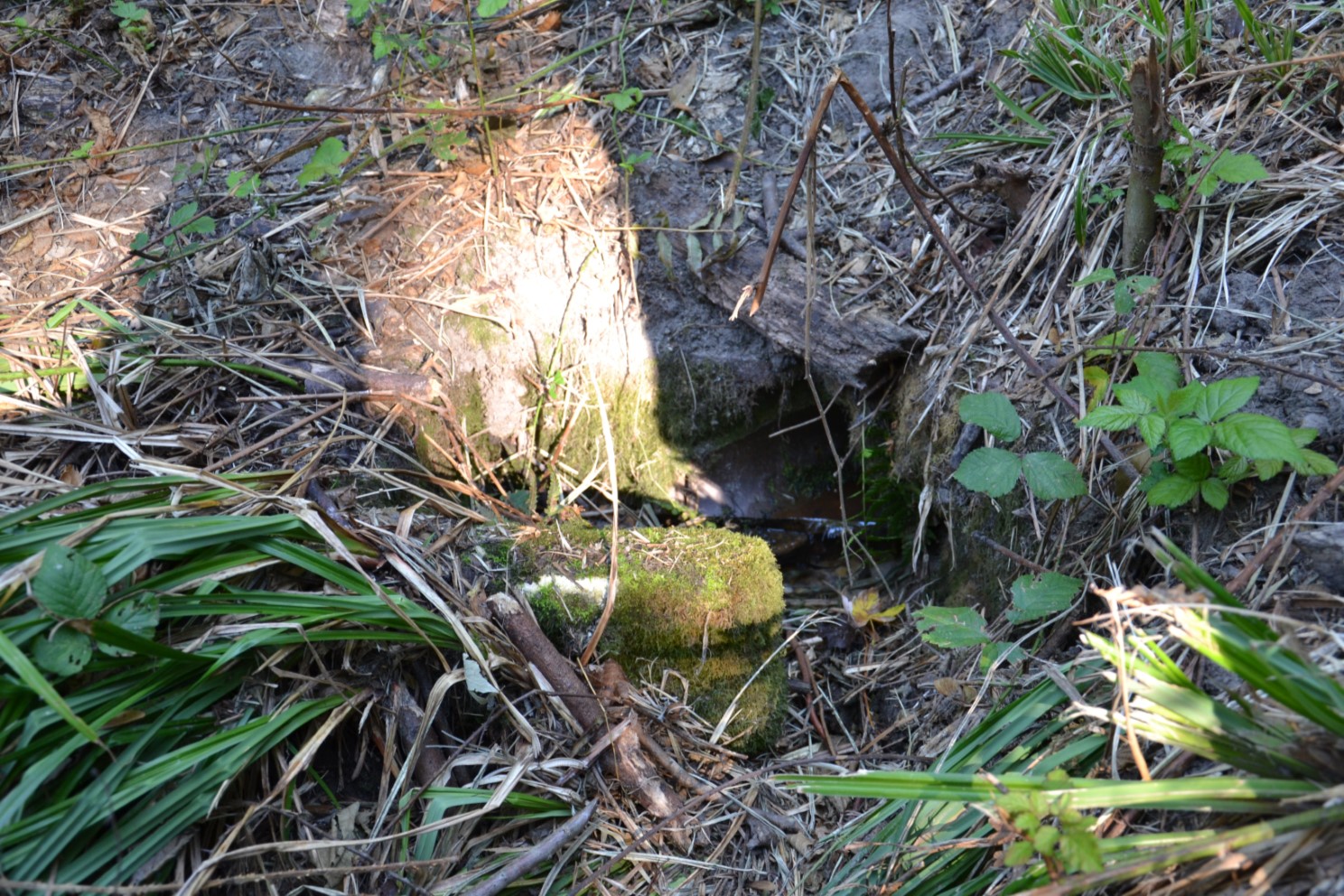 SUR LES PAS DE LA REINE HORTENSE - la fontaine Maclou