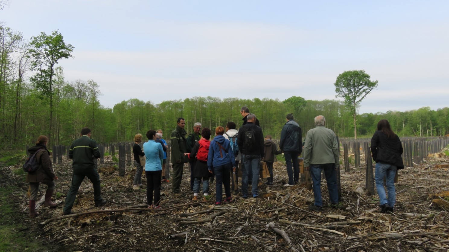 Tournée terrain proposée par l'ONF