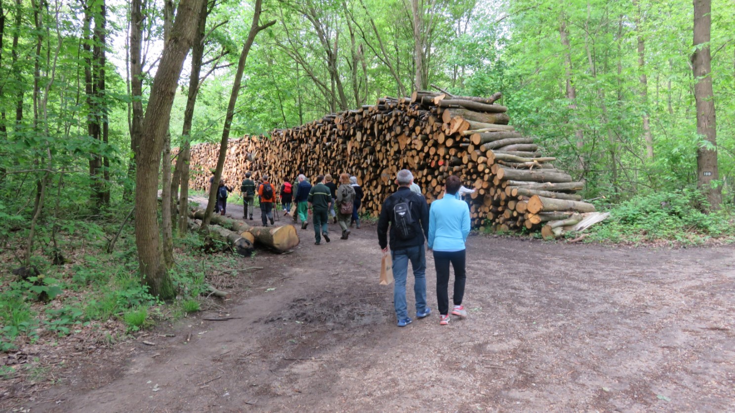 Sortie nature programmée le 20 mai 2017