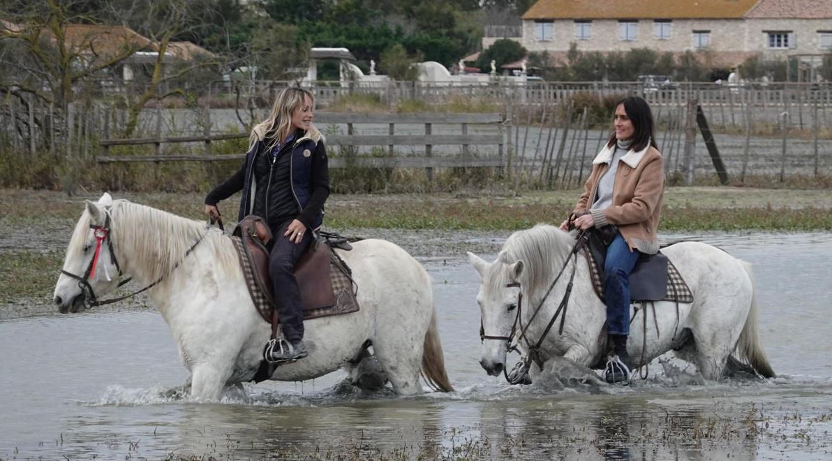 Faut pas rêver spécial Camargue