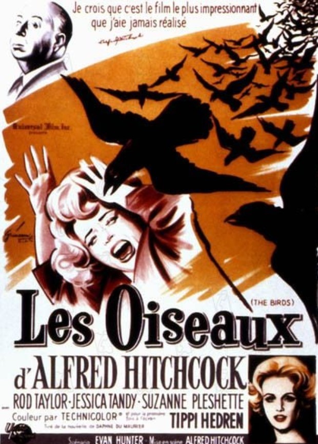 FILM Les oiseaux