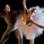 Danse : Joyaux du ballet