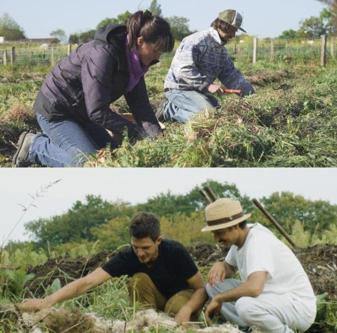 Documentaire Nouvelles graines