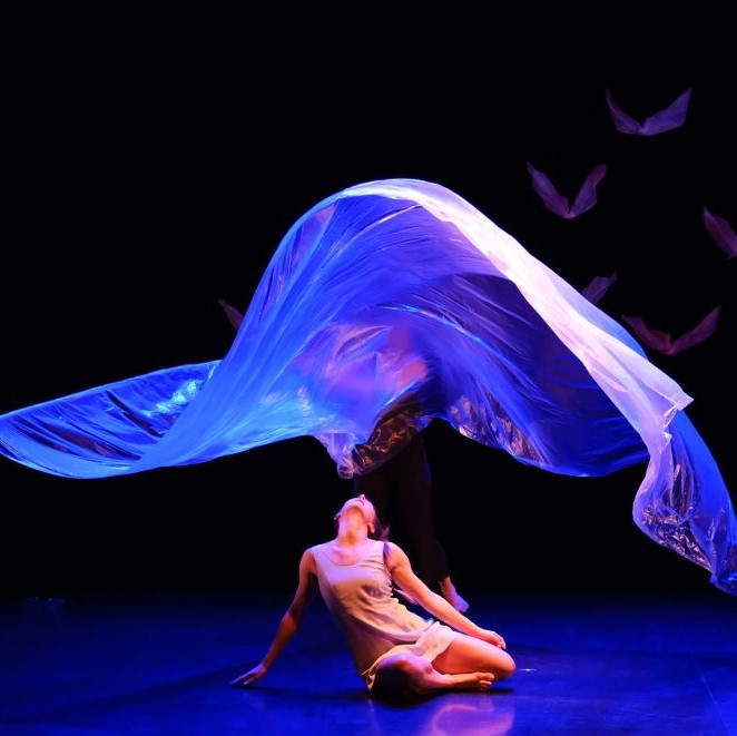 Spectacle La vague (photo ©Lionel Pefqué)