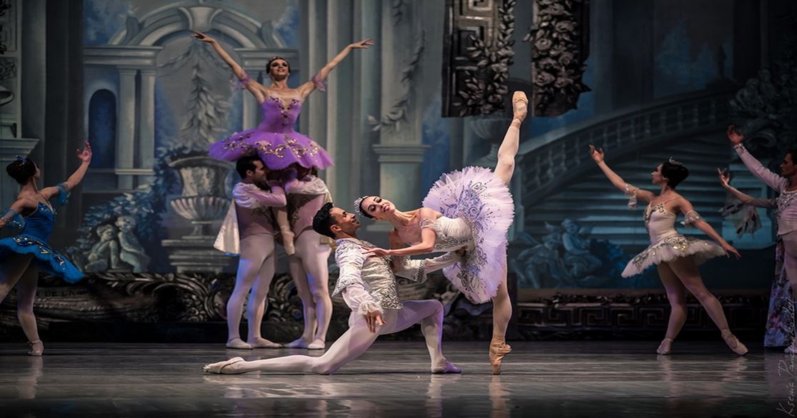 DANSE Le lac des cygnes
