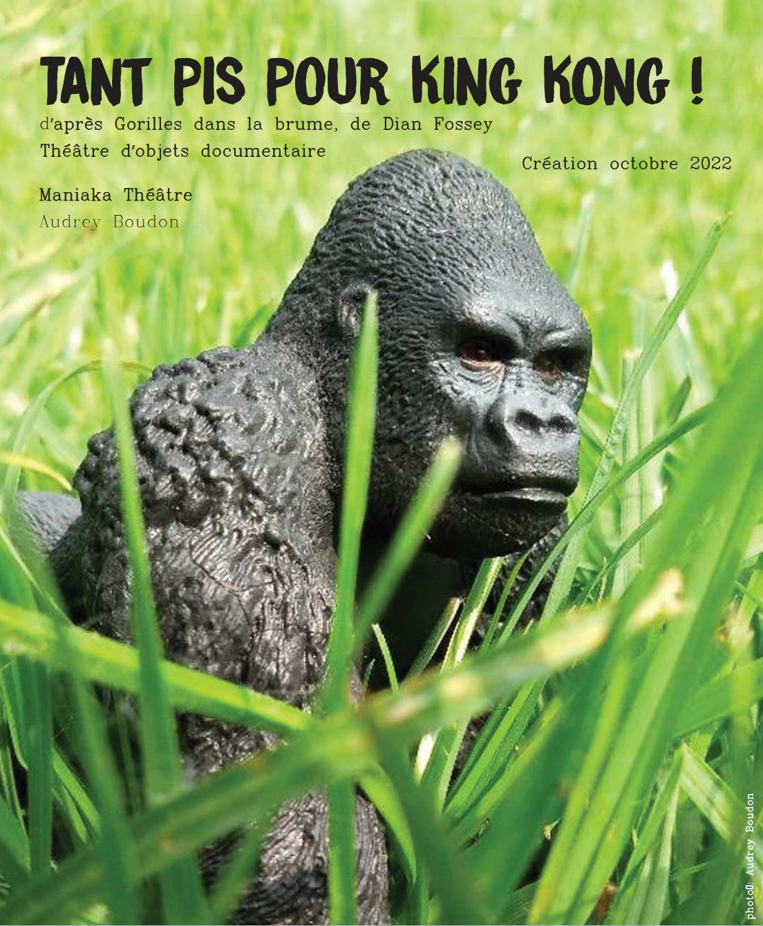 THEATRE Tant pis pour King Kong