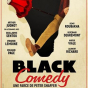 Théâtre : Black Comedy de Peter Shaffer