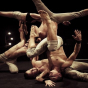 Cirque contemporain : A Simple Space