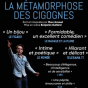 Spectacle : La métamorphose des cigognes